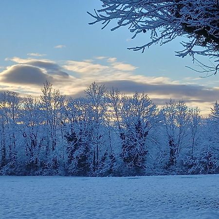 Champagne-en-Valromey Valreley, Chambres Et Table D'Hotes Eco-Friendly Avec Bain Nordique Au Sud Du Massif Du Jura المظهر الخارجي الصورة